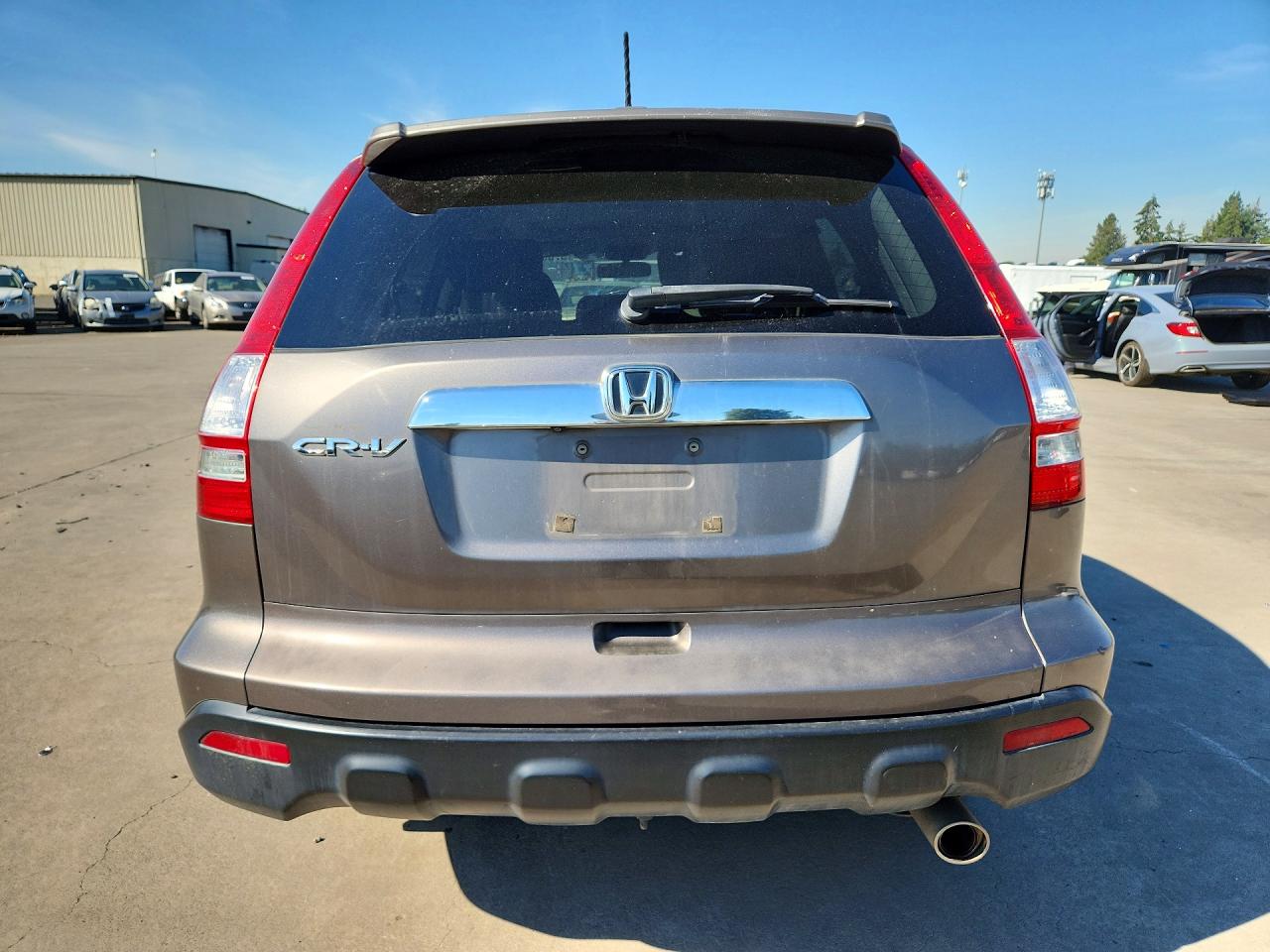 2009 Honda Cr-v Exl Gray vin: 5J6RE38789L008705