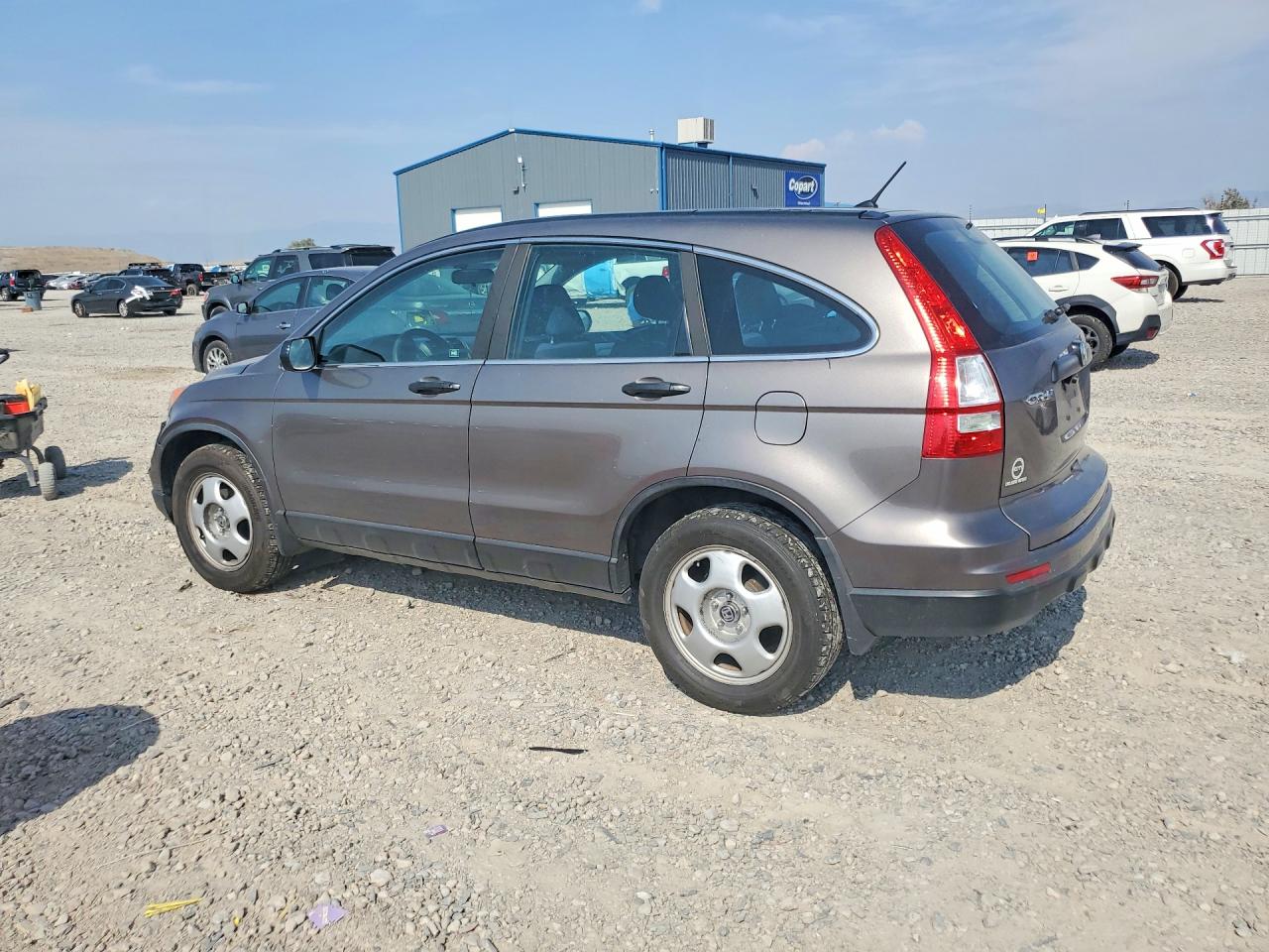 2010 Honda Cr-v Lx Tan vin: 5J6RE3H34AL018214