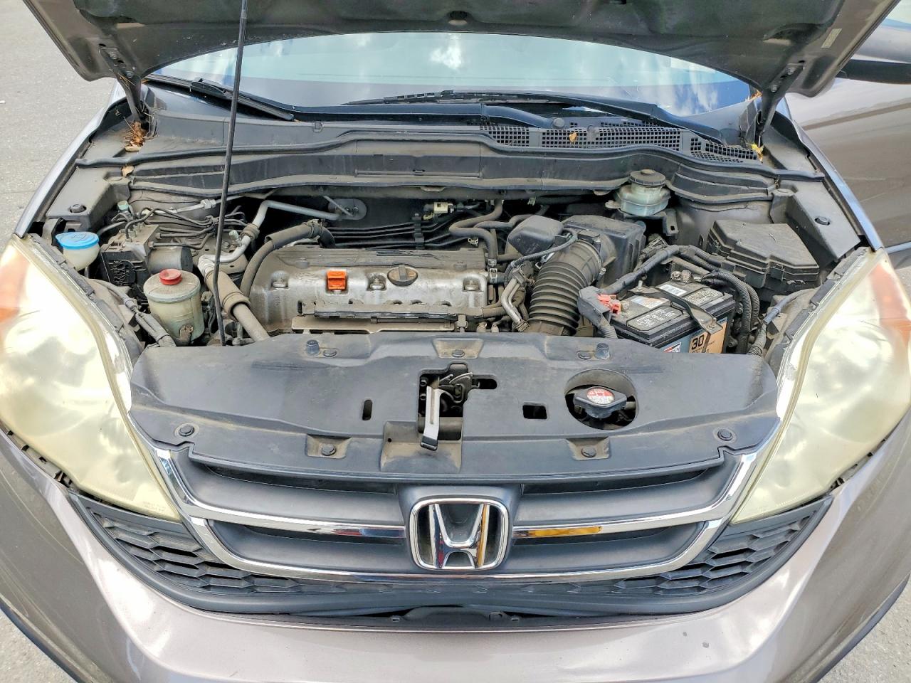 2010 Honda Cr-v Brown vin: 5J6RE3H39AL015924