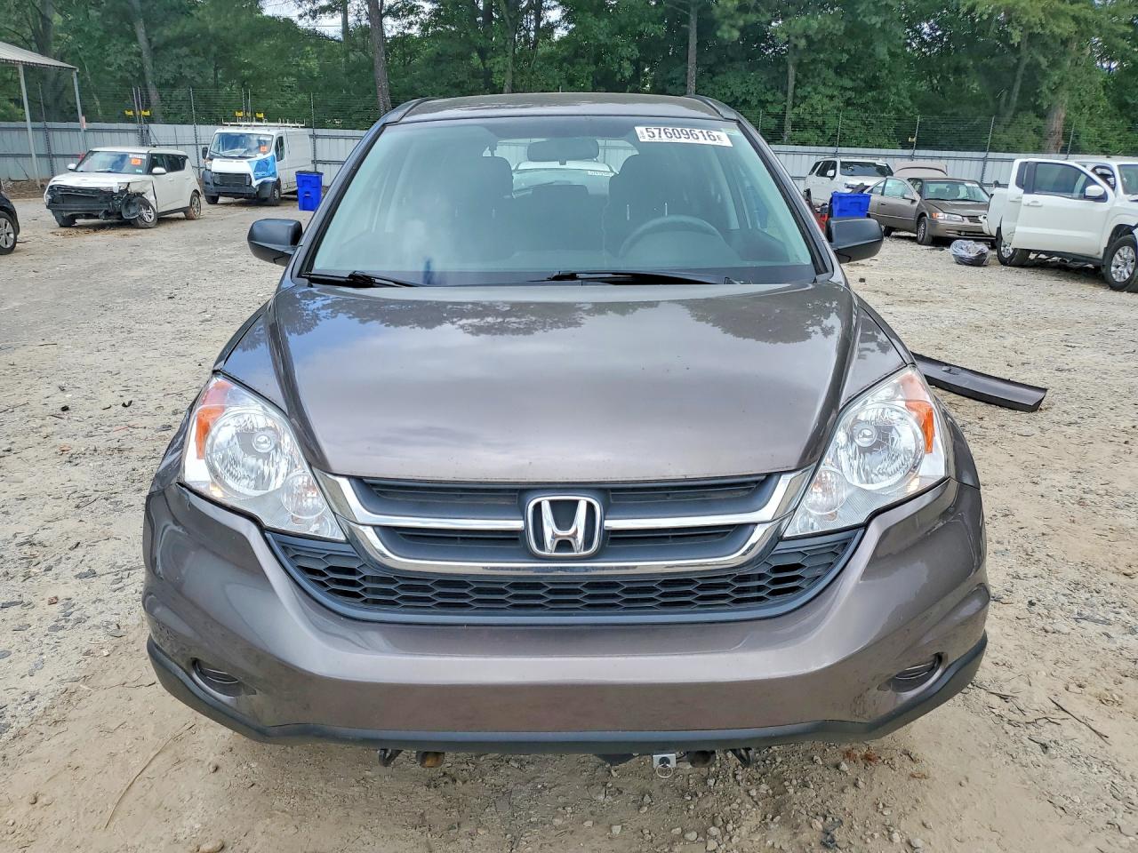 2011 Honda Cr-v Se Brown vin: 5J6RE3H41BL046109
