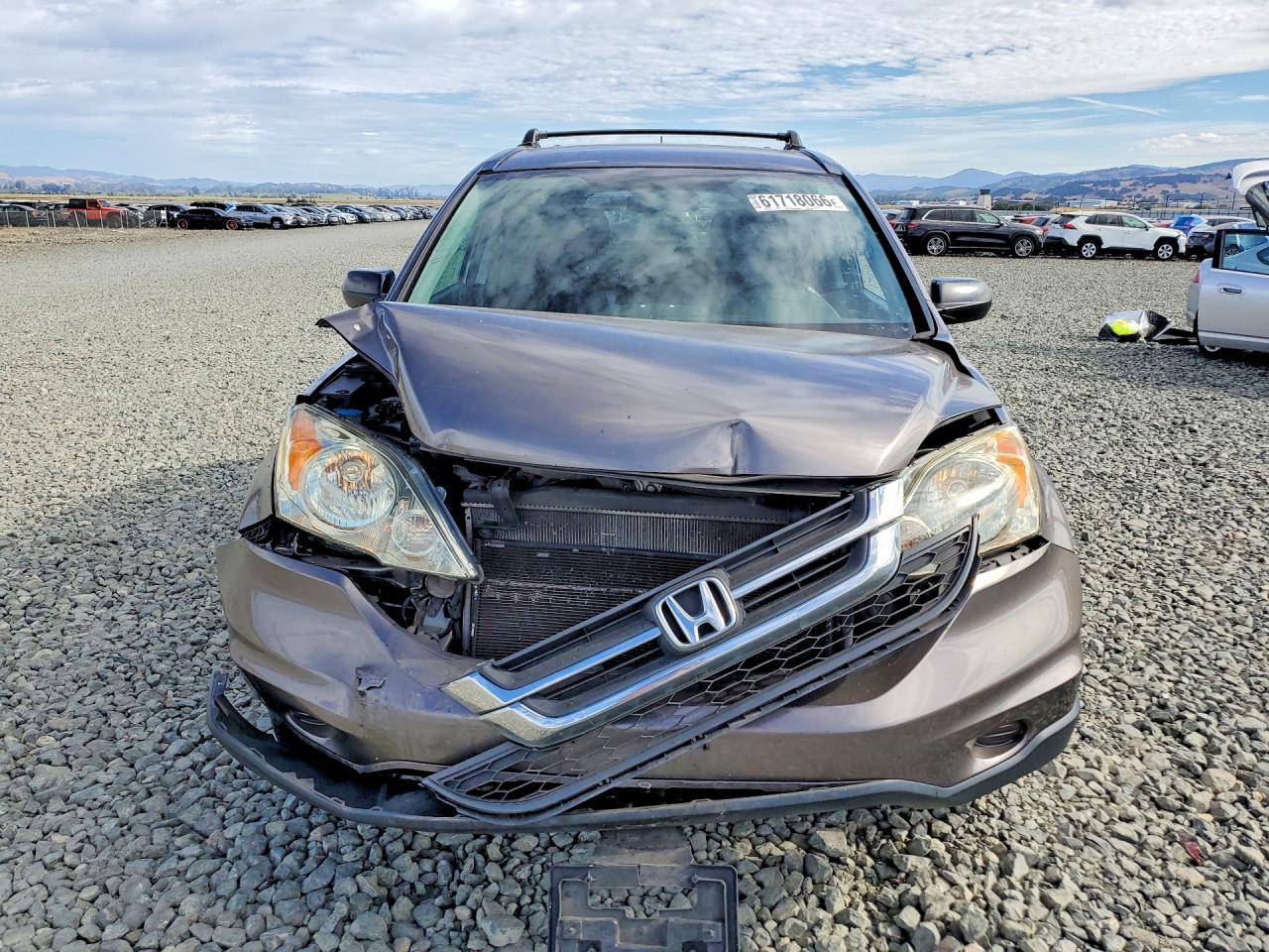 2011 Honda Cr-v Se Brown vin: 5J6RE3H42BL046068