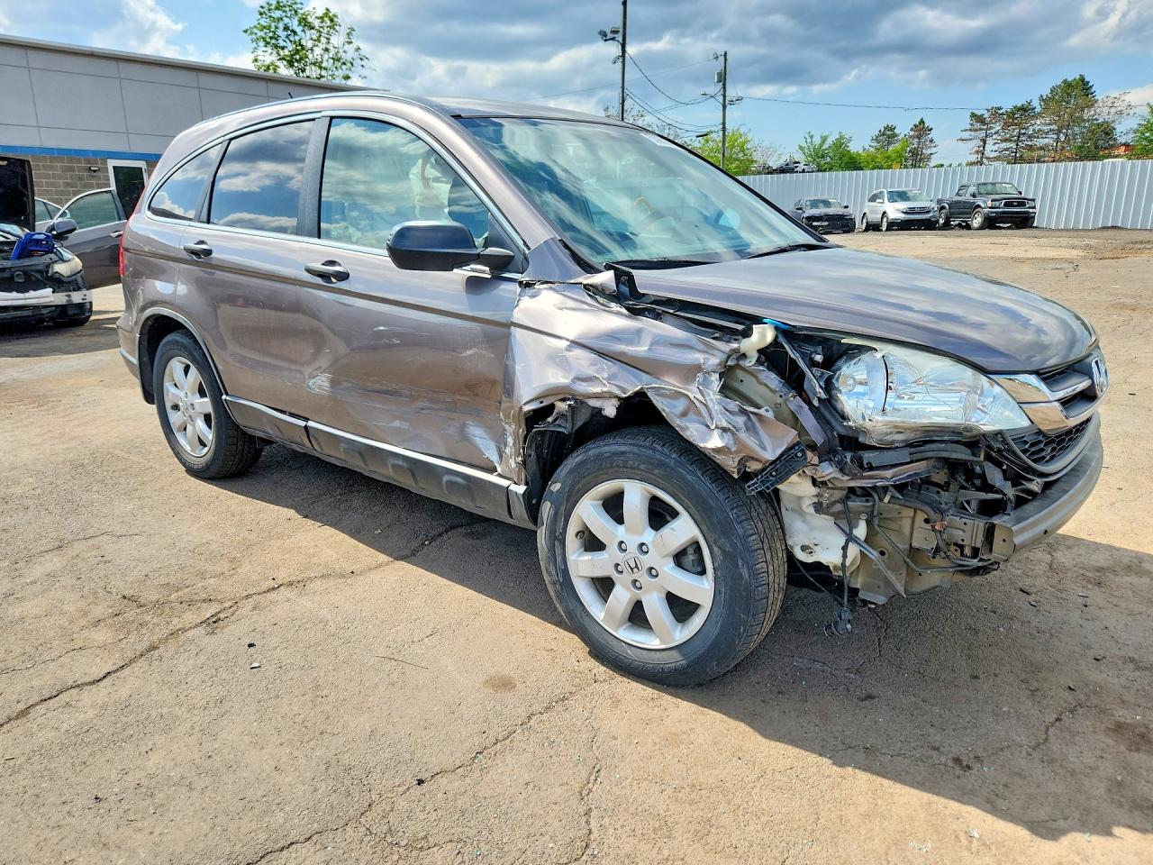 2011 Honda Cr-v Se Tan vin: 5J6RE3H48BL046916