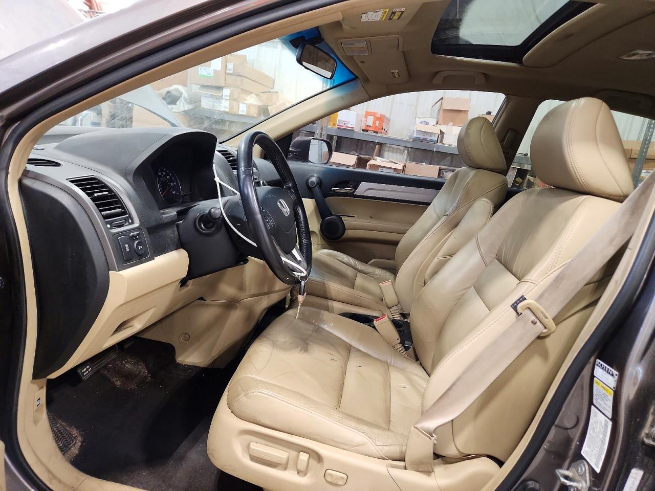 2010 Honda Cr-v Exl Gray vin: 5J6RE3H70AL016401