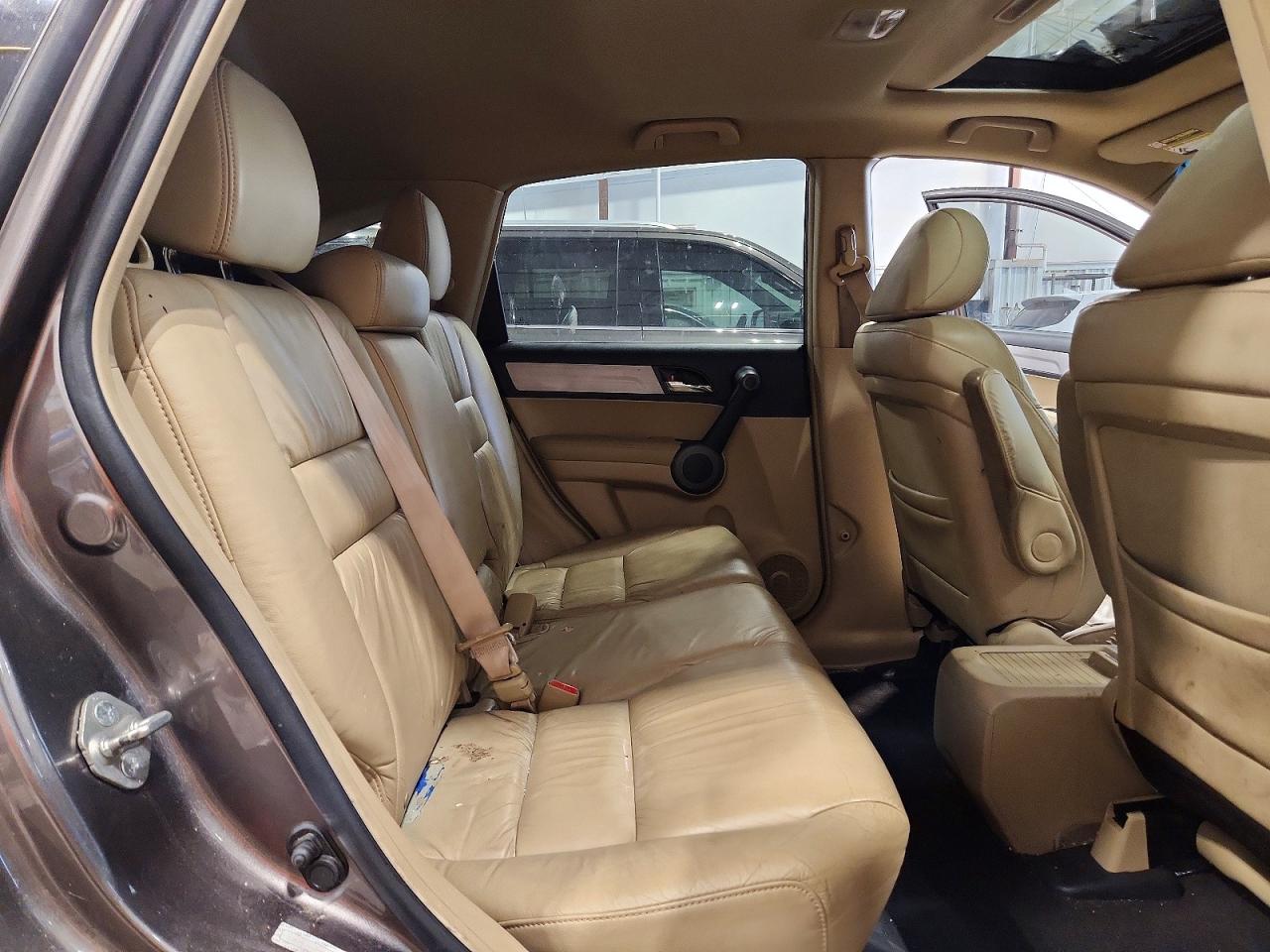 2010 Honda Cr-v Exl Gray vin: 5J6RE3H70AL016401