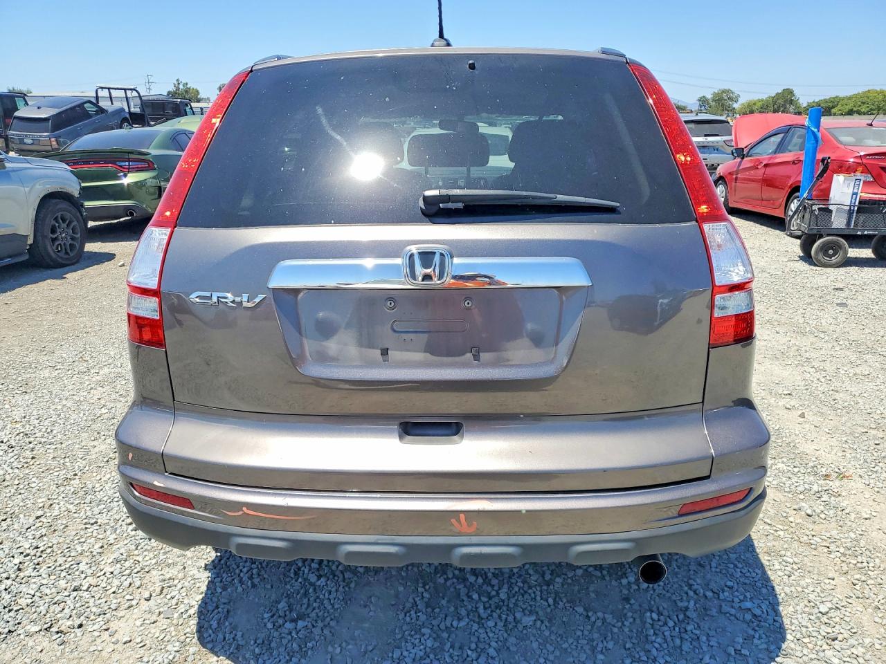 2011 Honda Cr-v Exl Brown vin: 5J6RE3H72BL059333