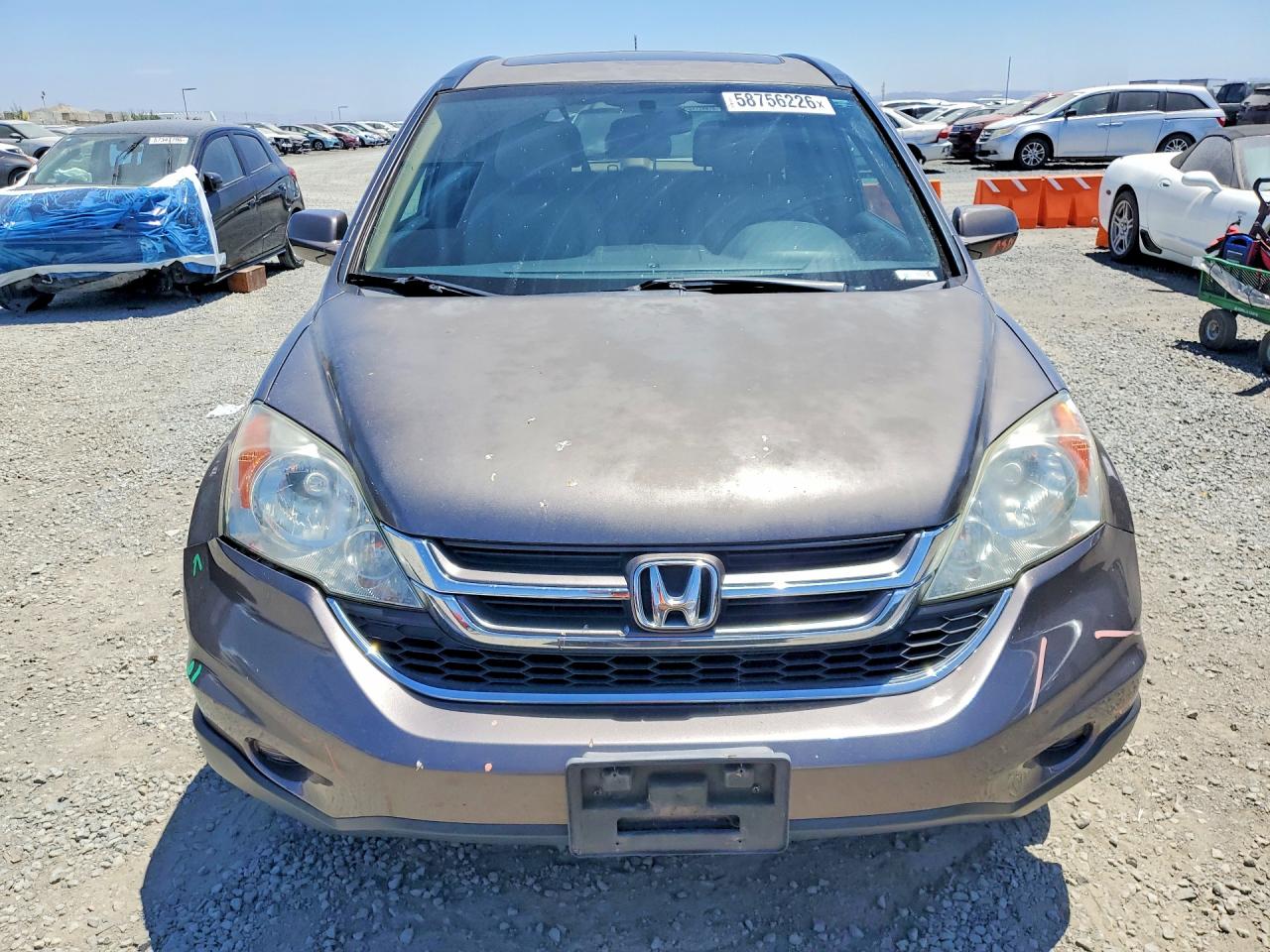 2011 Honda Cr-v Exl Brown vin: 5J6RE3H72BL059333