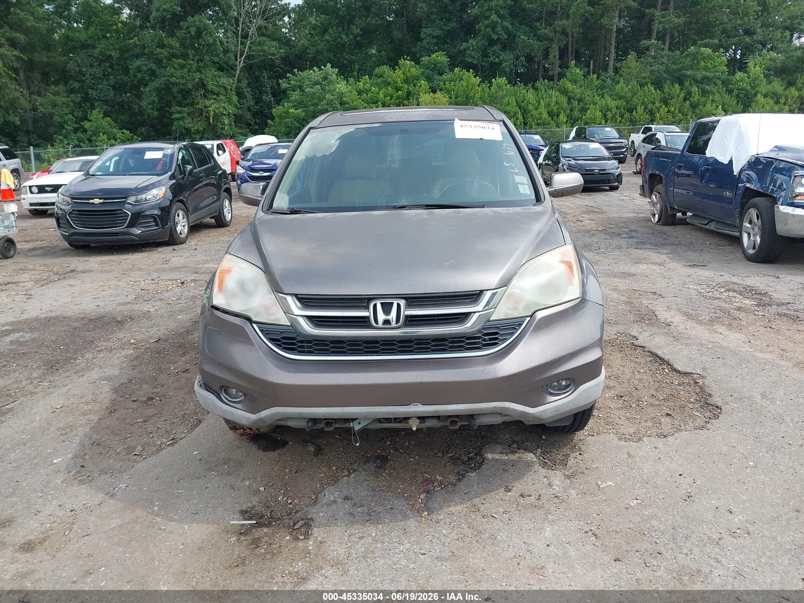 2010 Honda Cr-v Ex-l Gray vin: 5J6RE3H73AL048386