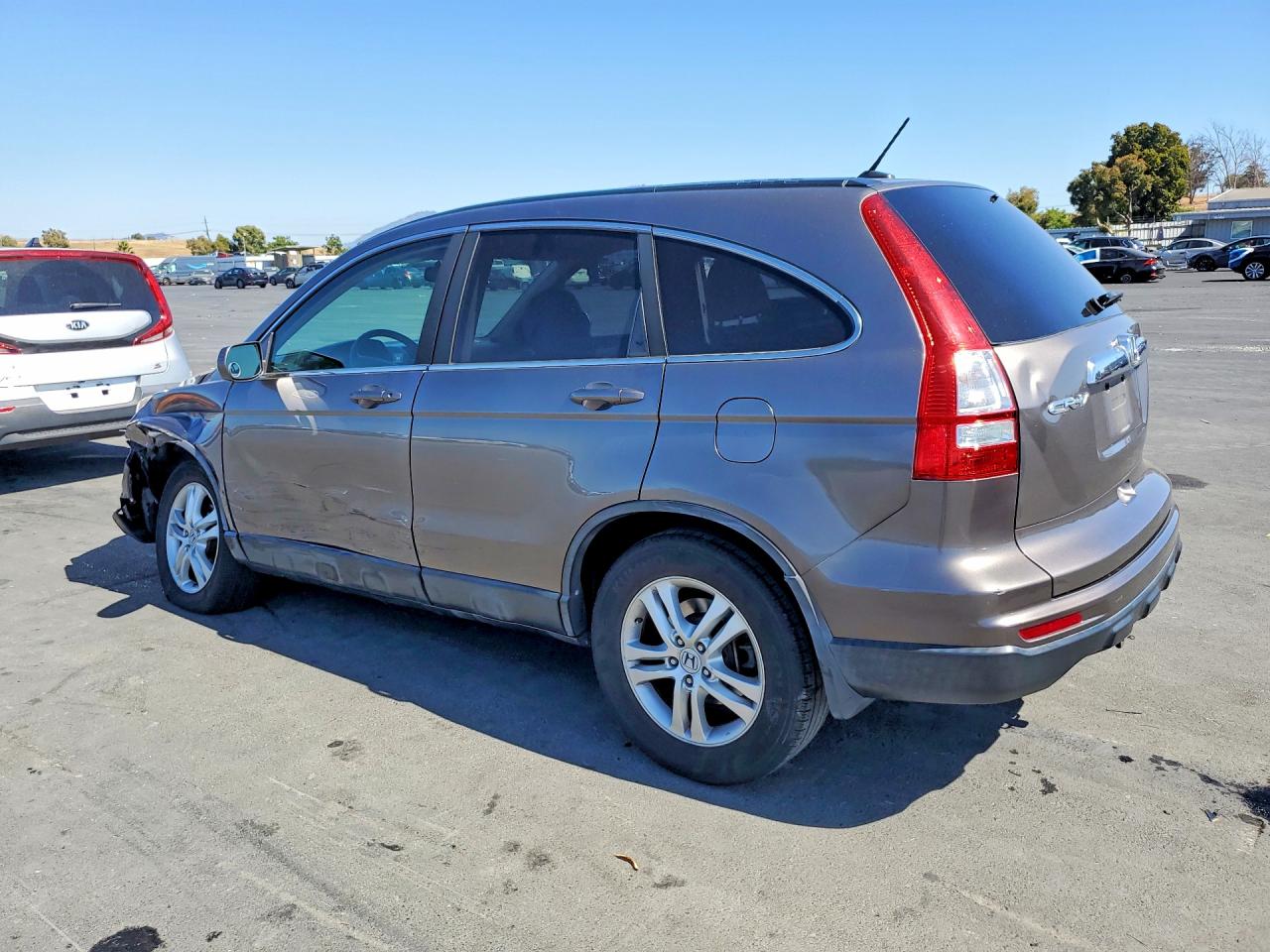 2011 Honda Cr-v Exl Brown vin: 5J6RE3H73BL033503