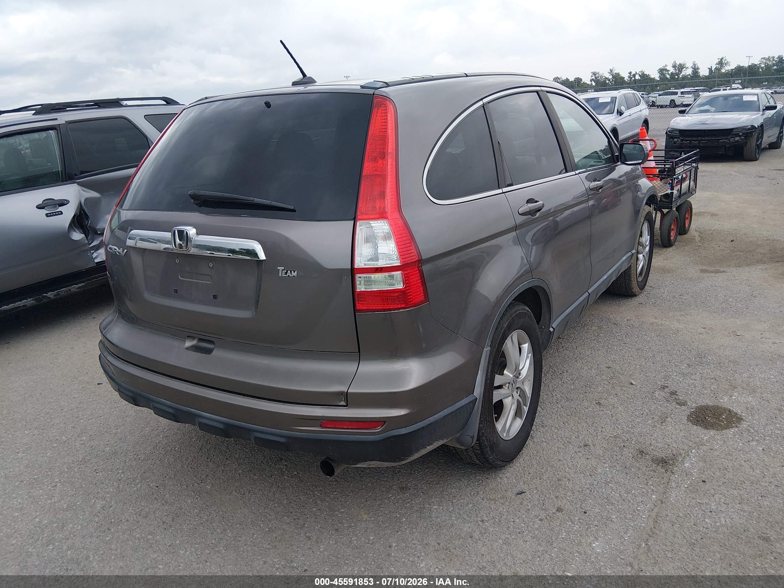 2010 Honda Cr-v Ex-l Gray vin: 5J6RE3H74AL034349