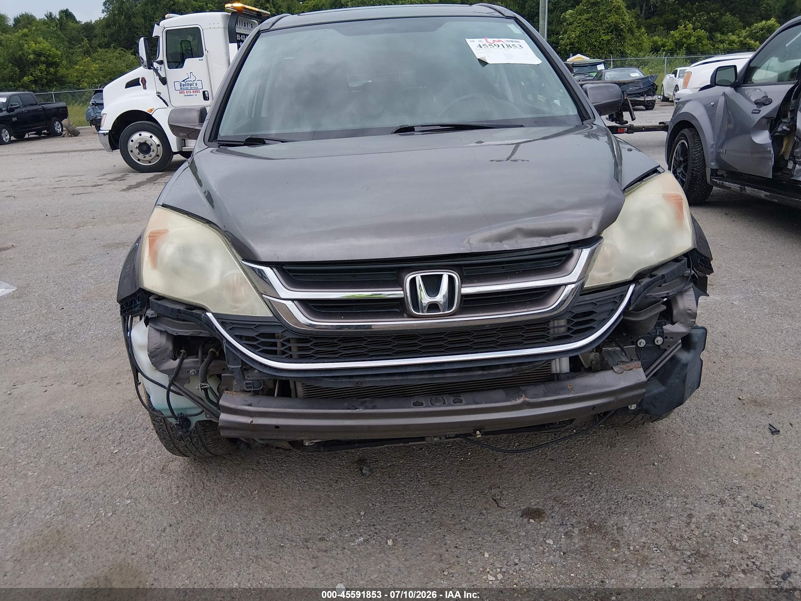 2010 Honda Cr-v Ex-l Gray vin: 5J6RE3H74AL034349