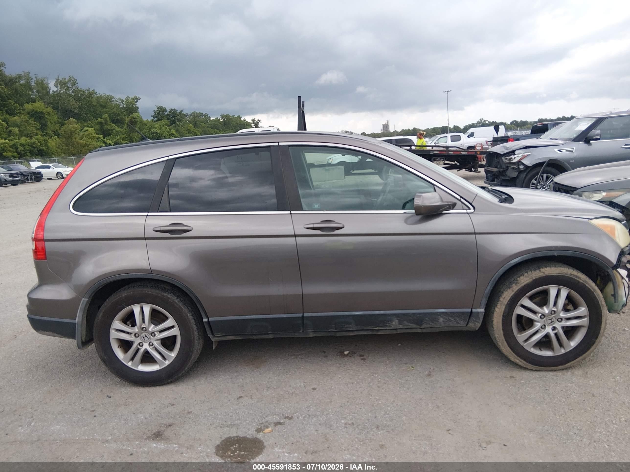 2010 Honda Cr-v Ex-l Gray vin: 5J6RE3H74AL034349