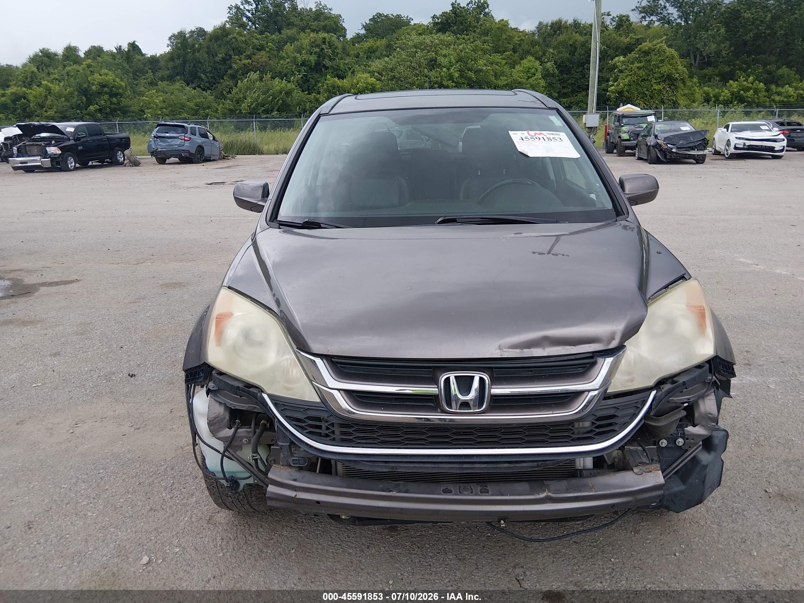 2010 Honda Cr-v Ex-l Gray vin: 5J6RE3H74AL034349