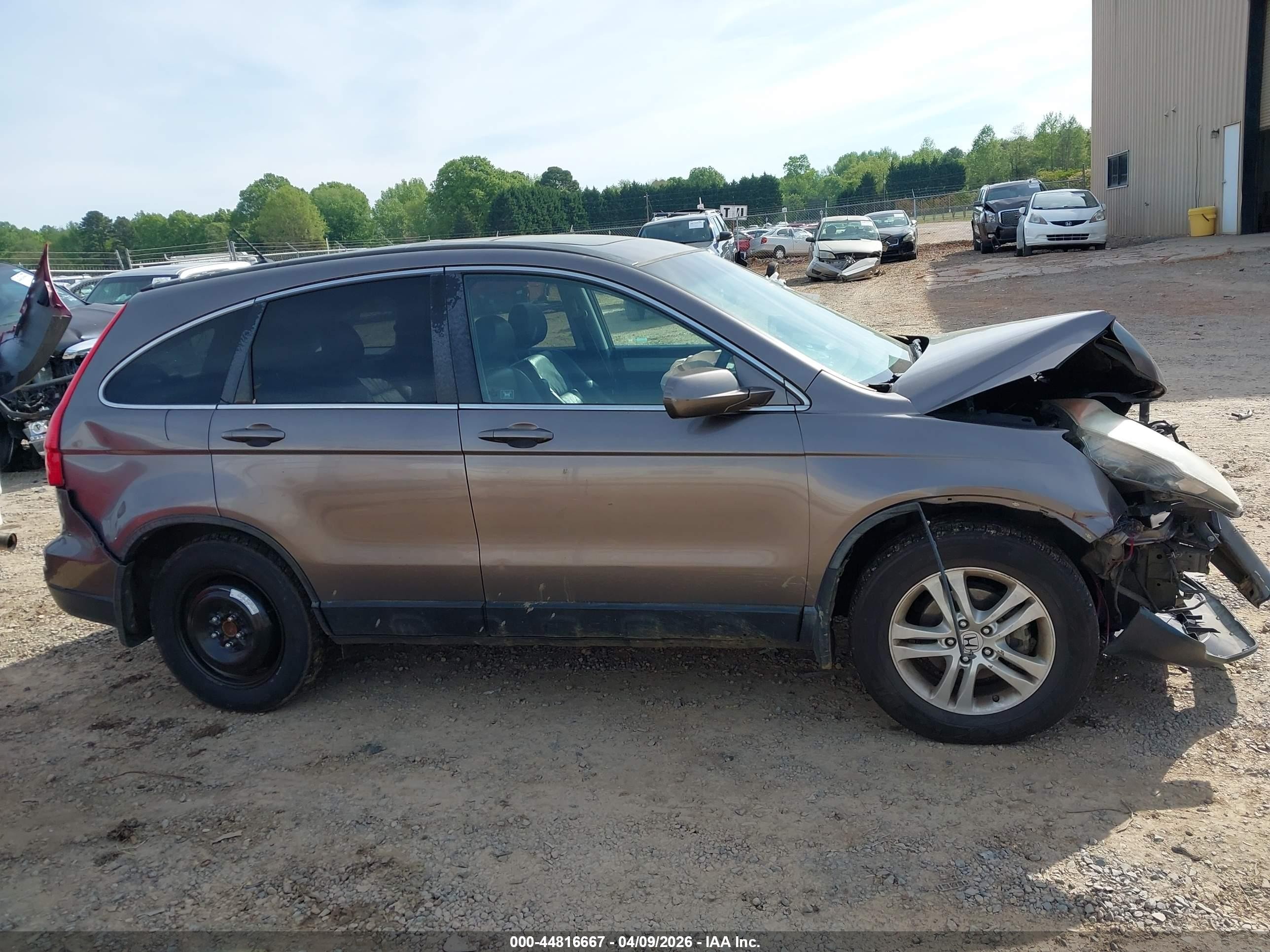 2011 Honda Cr-v Ex-l Gray vin: 5J6RE3H74BL034613