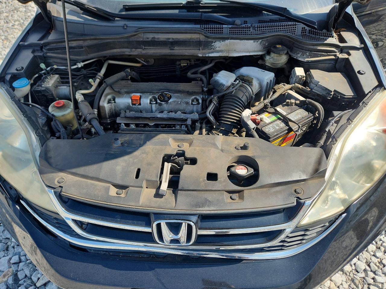 2010 Honda Cr-v Exl Black vin: 5J6RE3H75AL049989