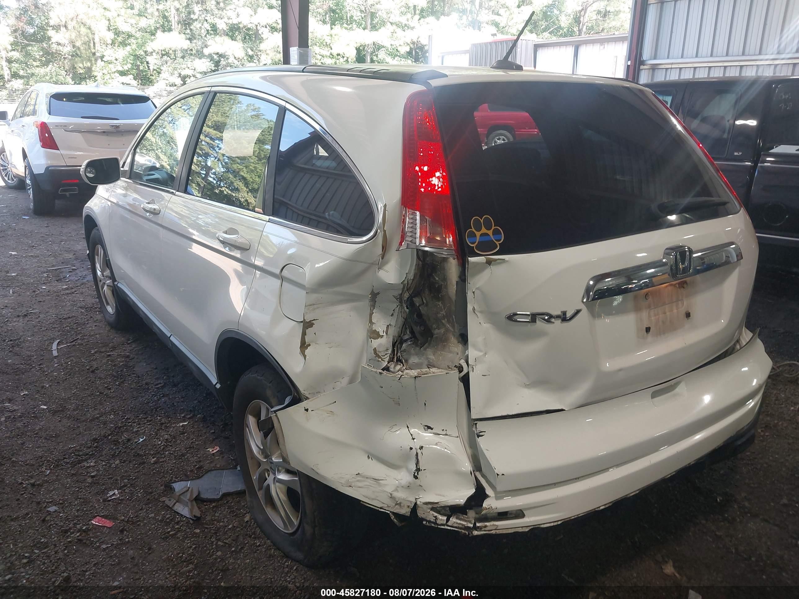 2010 Honda Cr-v Ex-l Белый vin: 5J6RE3H76AL043490