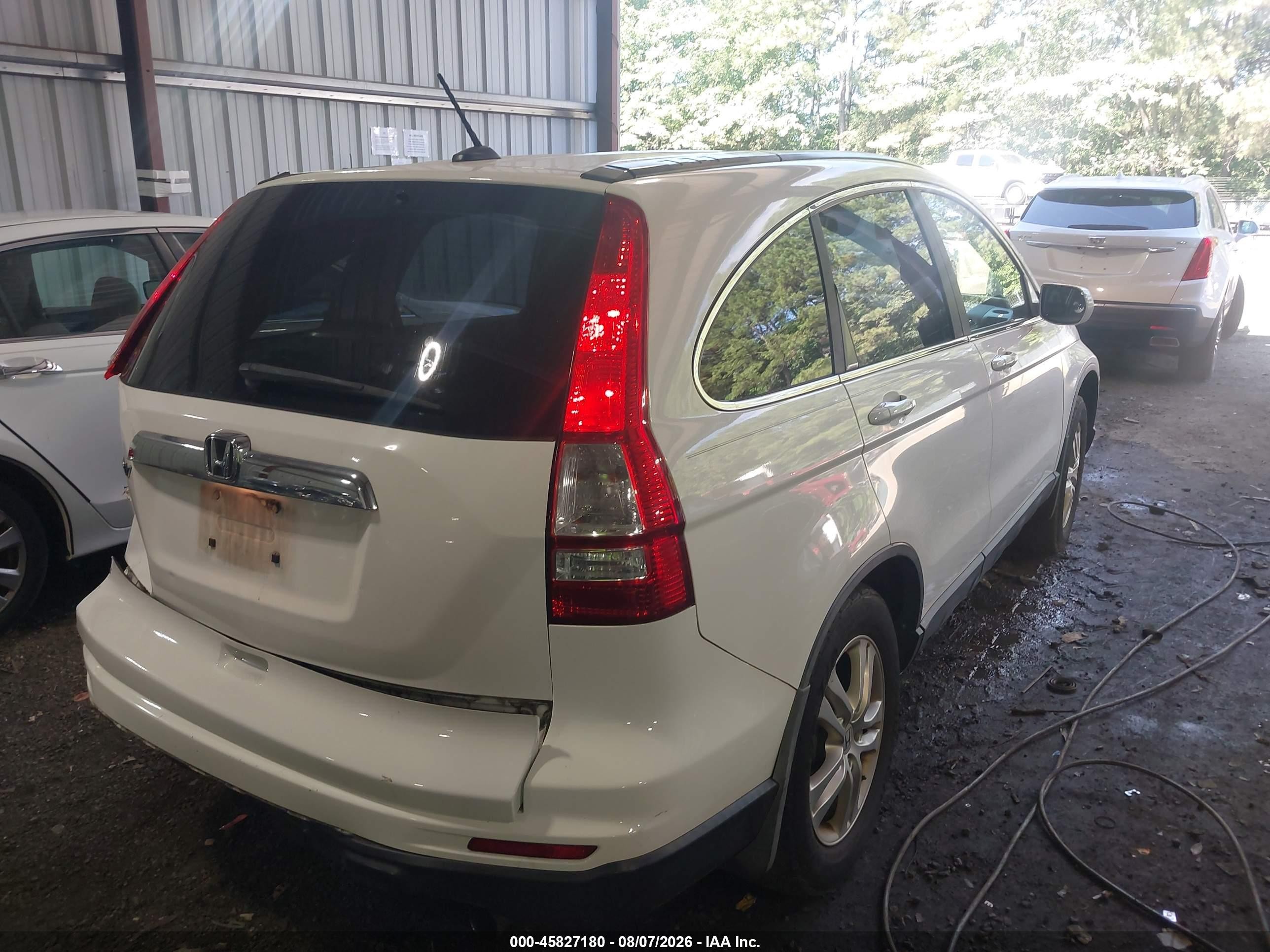 2010 Honda Cr-v Ex-l Белый vin: 5J6RE3H76AL043490