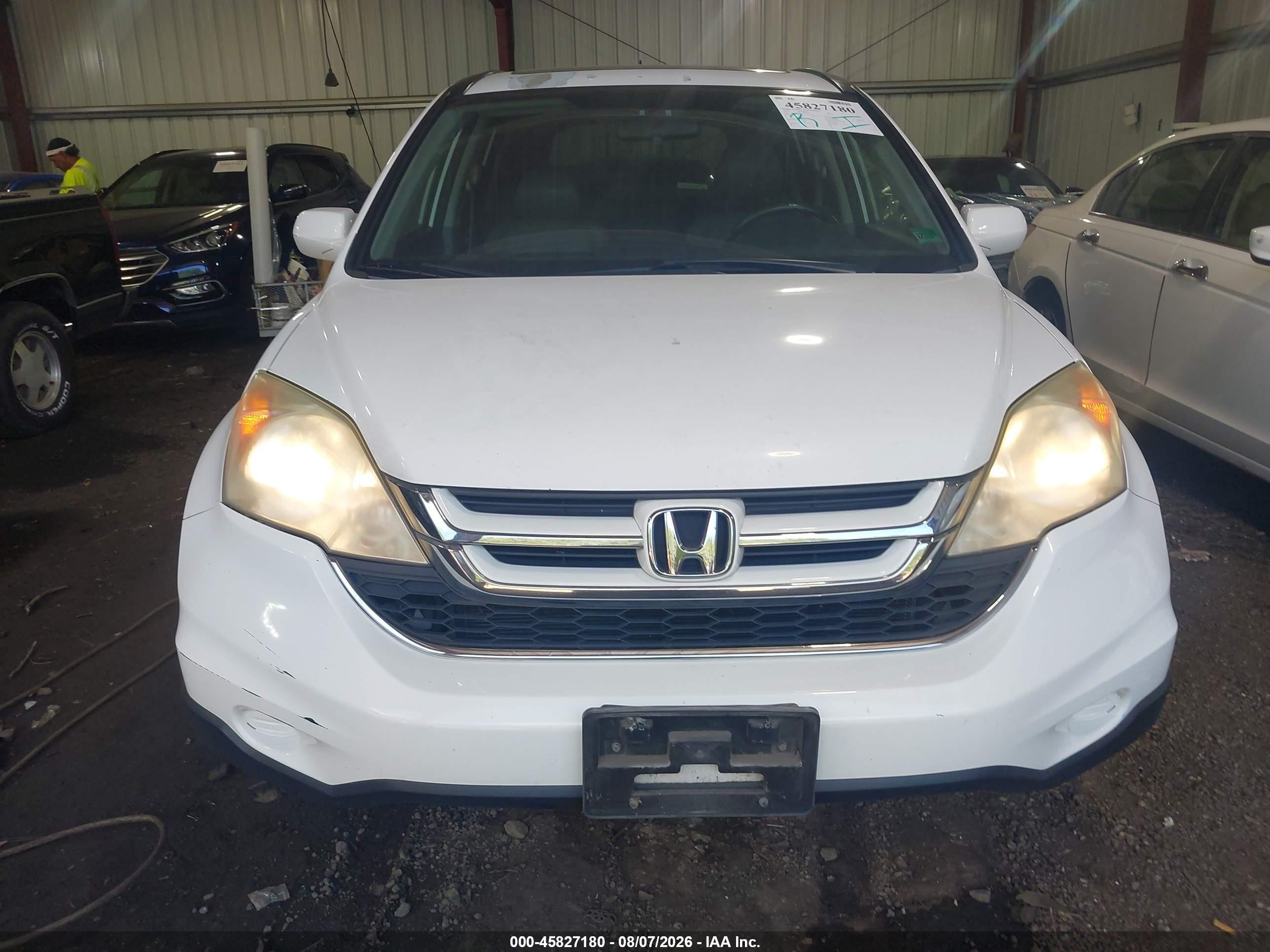 2010 Honda Cr-v Ex-l Белый vin: 5J6RE3H76AL043490