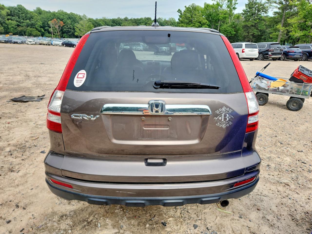 2010 Honda Cr-v Exl Gray vin: 5J6RE3H7XAL013375