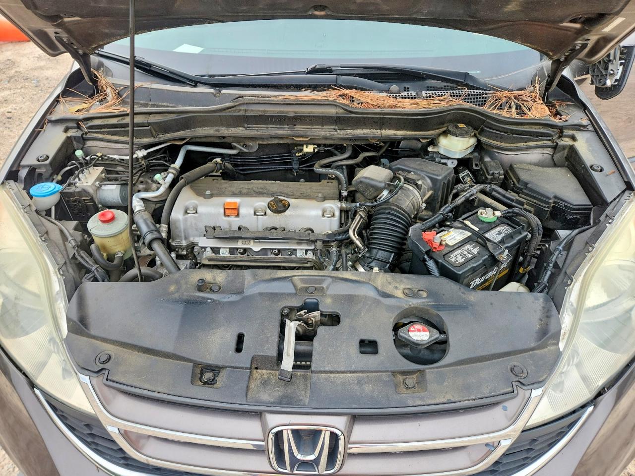 2010 Honda Cr-v Exl Gray vin: 5J6RE3H7XAL013375