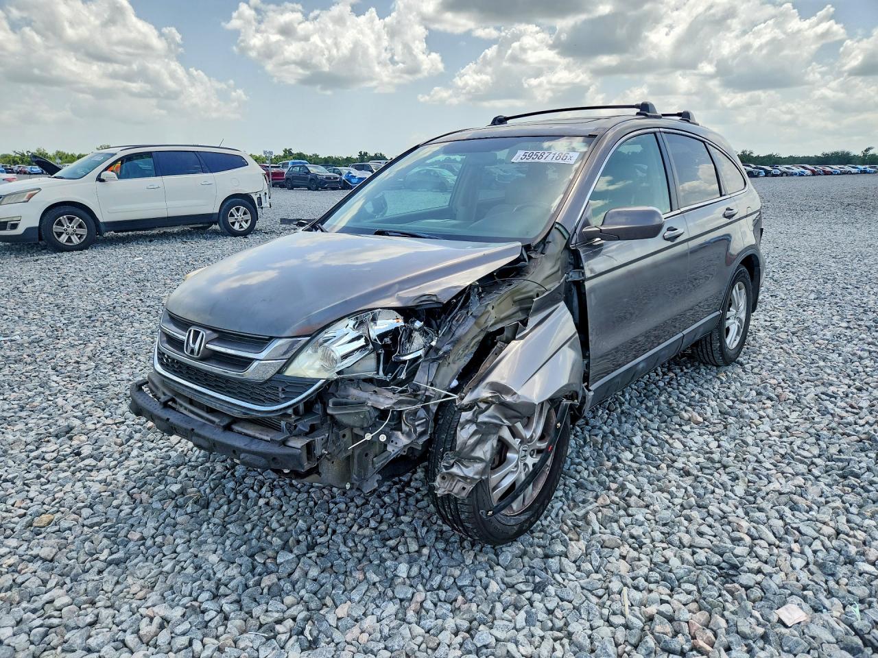 2010 Honda Cr-v Exl Gray vin: 5J6RE3H7XAL024523