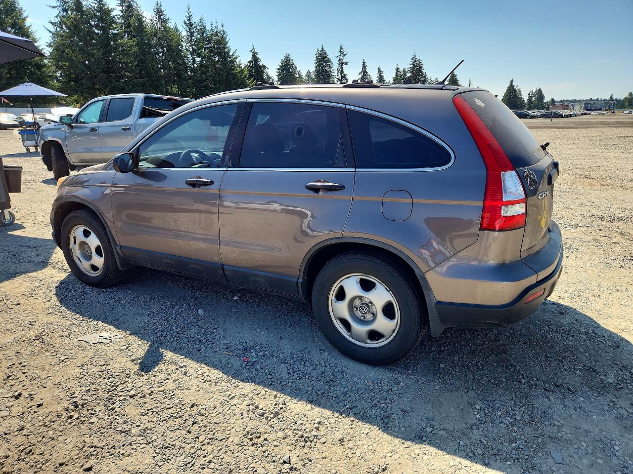 2009 Honda Cr-v Lx Gray vin: 5J6RE48389L025782