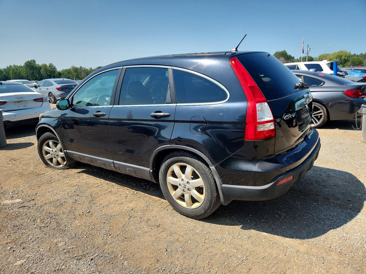2007 Honda Cr-v Ex Black vin: 5J6RE48537L800777