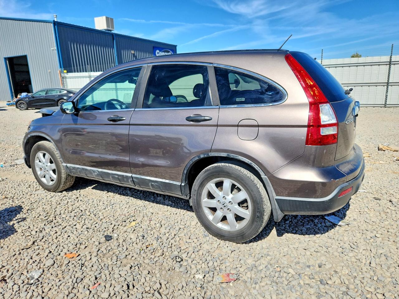 2009 Honda Cr-v Ex Gray vin: 5J6RE48559L013185