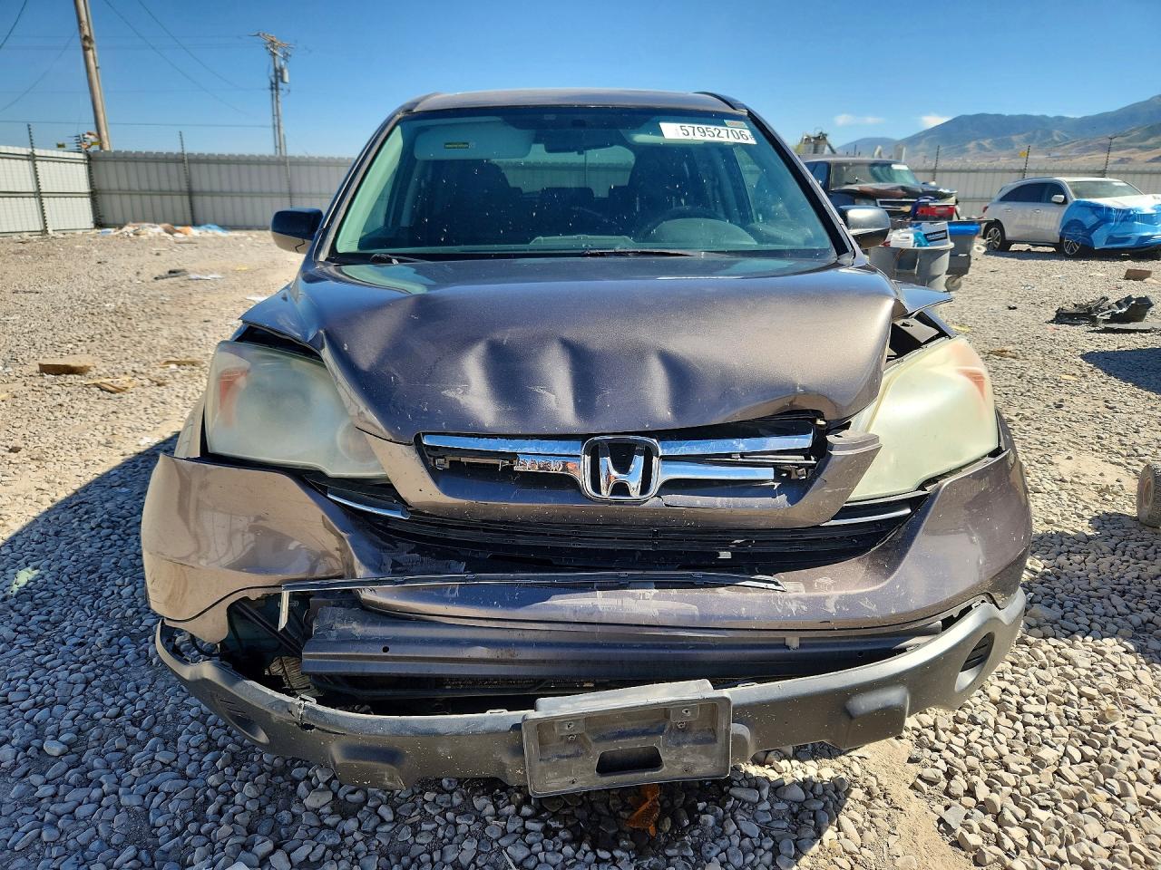 2009 Honda Cr-v Ex Gray vin: 5J6RE48559L013185