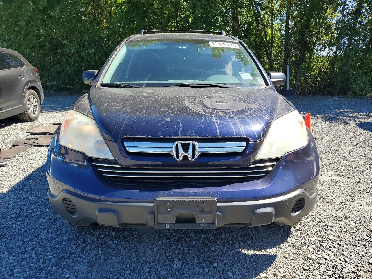2009 Honda Cr-v Ex Синий vin: 5J6RE48569L033820