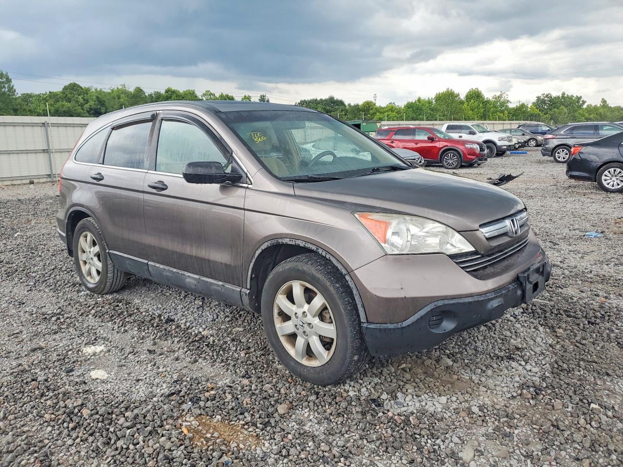 2009 Honda Cr-v Ex Brown vin: 5J6RE48589L017649