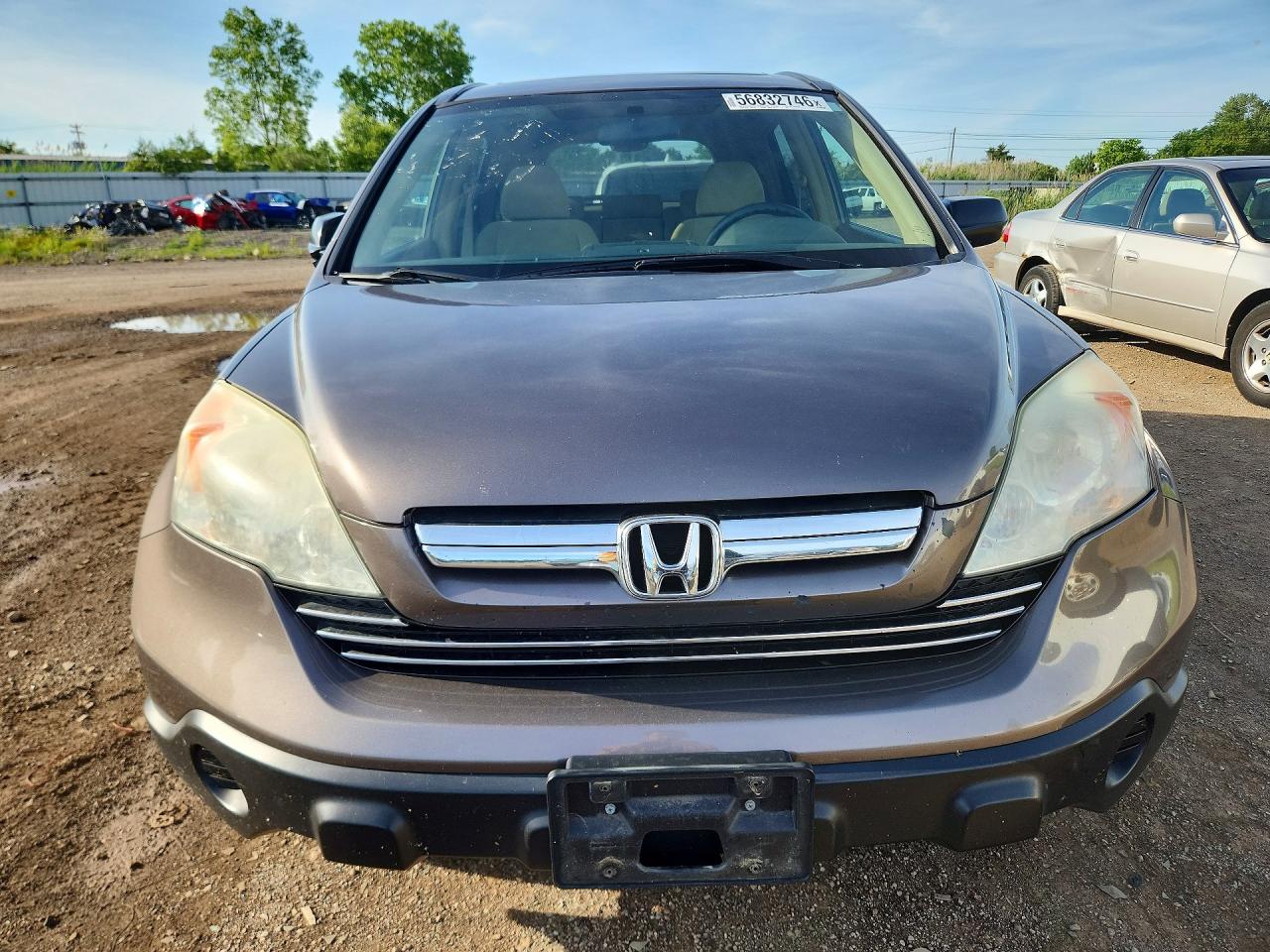 2009 Honda Cr-v Коричневый vin: 5J6RE48589L017666