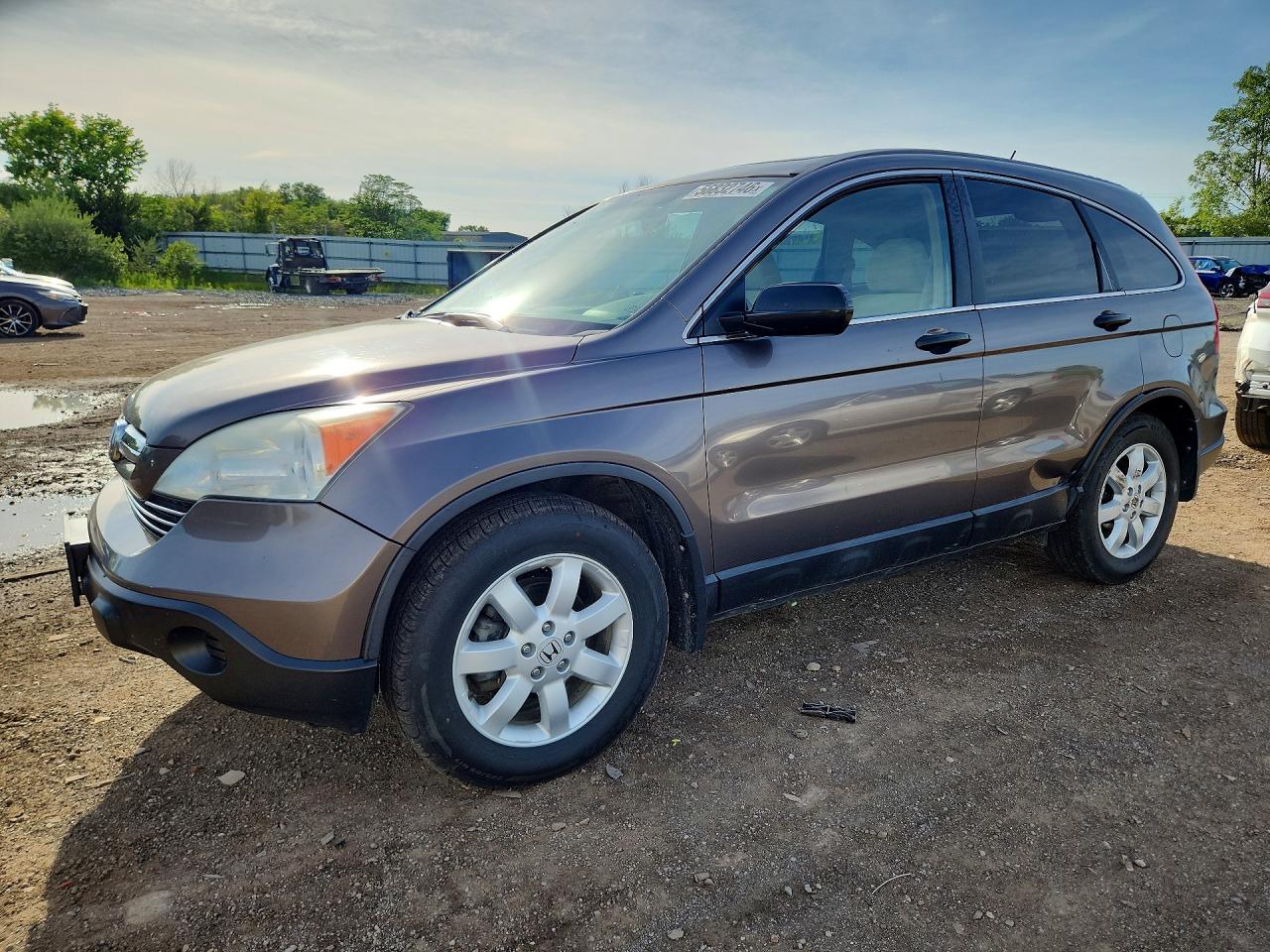 2009 Honda Cr-v Коричневый vin: 5J6RE48589L017666