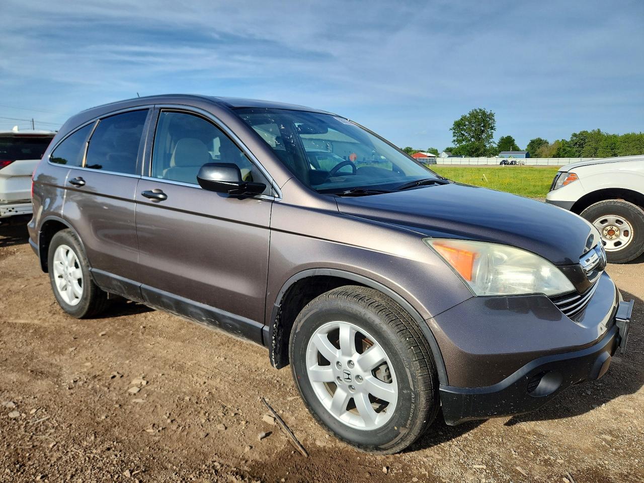 2009 Honda Cr-v Коричневый vin: 5J6RE48589L017666