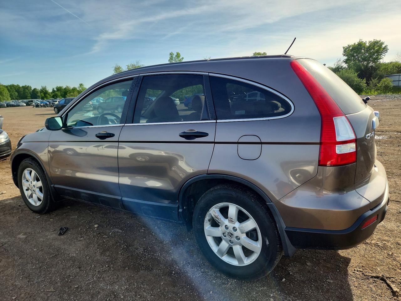 2009 Honda Cr-v Коричневый vin: 5J6RE48589L017666
