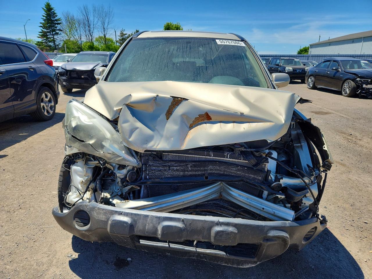 2008 Honda Cr-v Exl Золотой vin: 5J6RE48708L817118