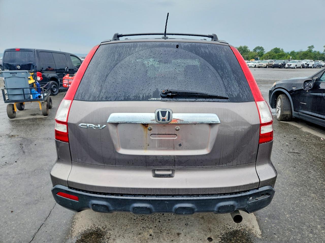 2009 Honda Cr-v Exl Gray vin: 5J6RE48709L025634