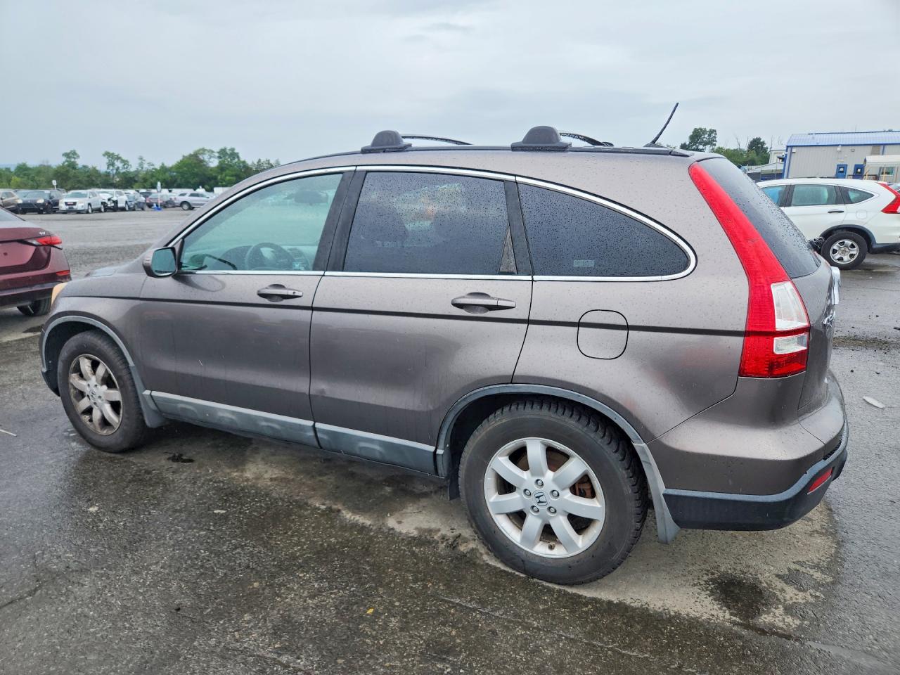 2009 Honda Cr-v Exl Gray vin: 5J6RE48709L025634