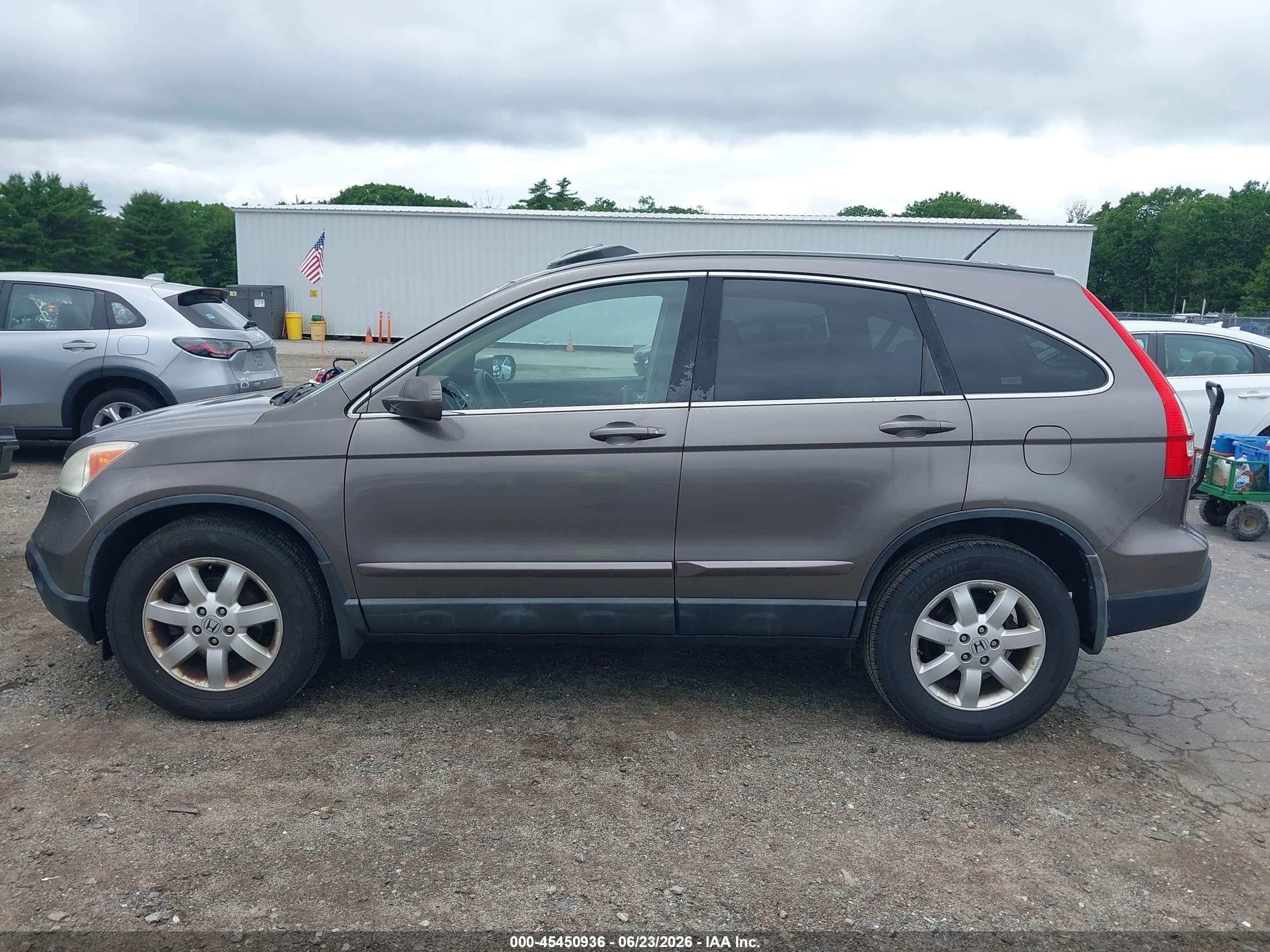 2009 Honda Cr-v Ex-l Gray vin: 5J6RE48709L032406