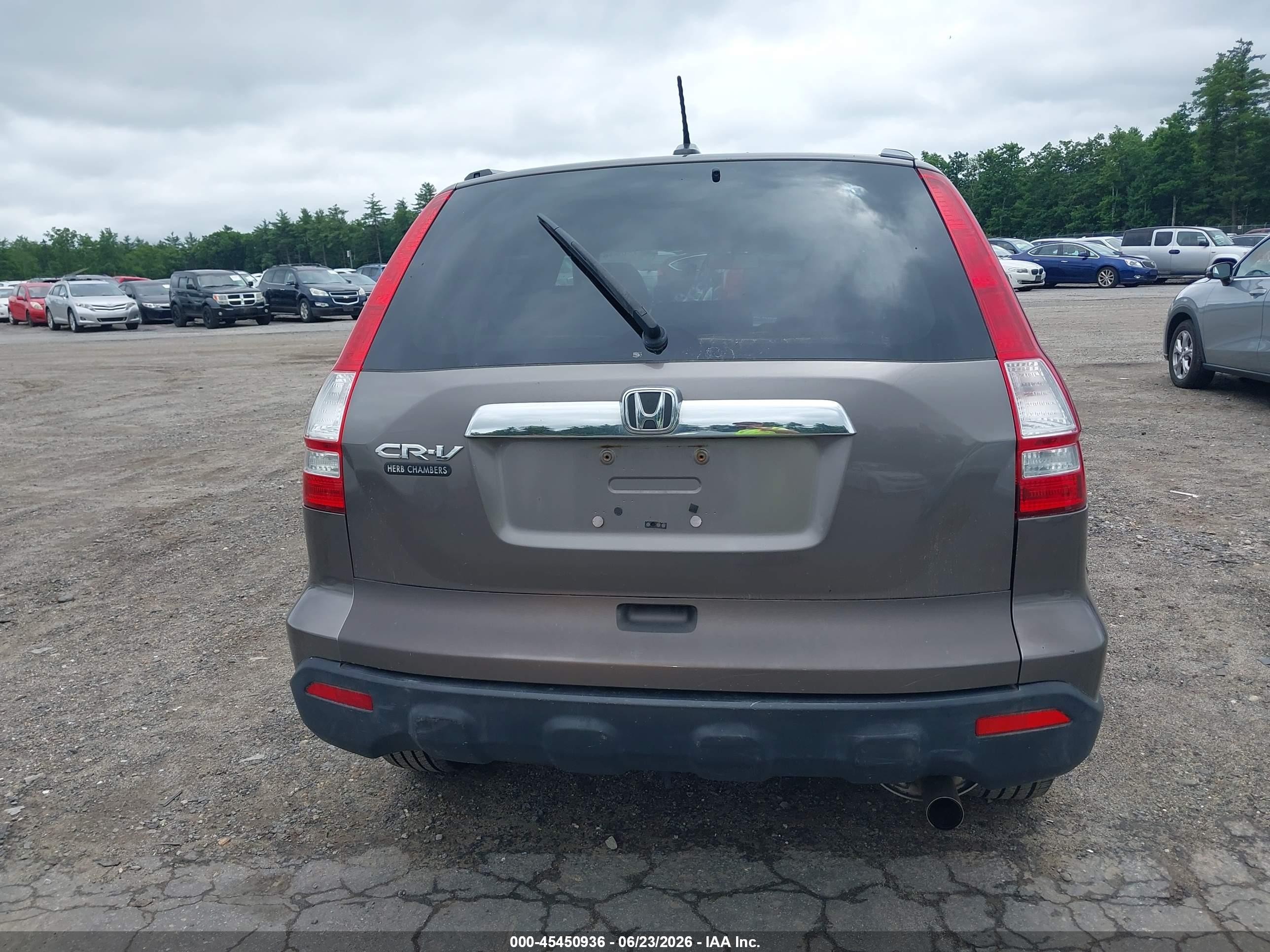 2009 Honda Cr-v Ex-l Gray vin: 5J6RE48709L032406