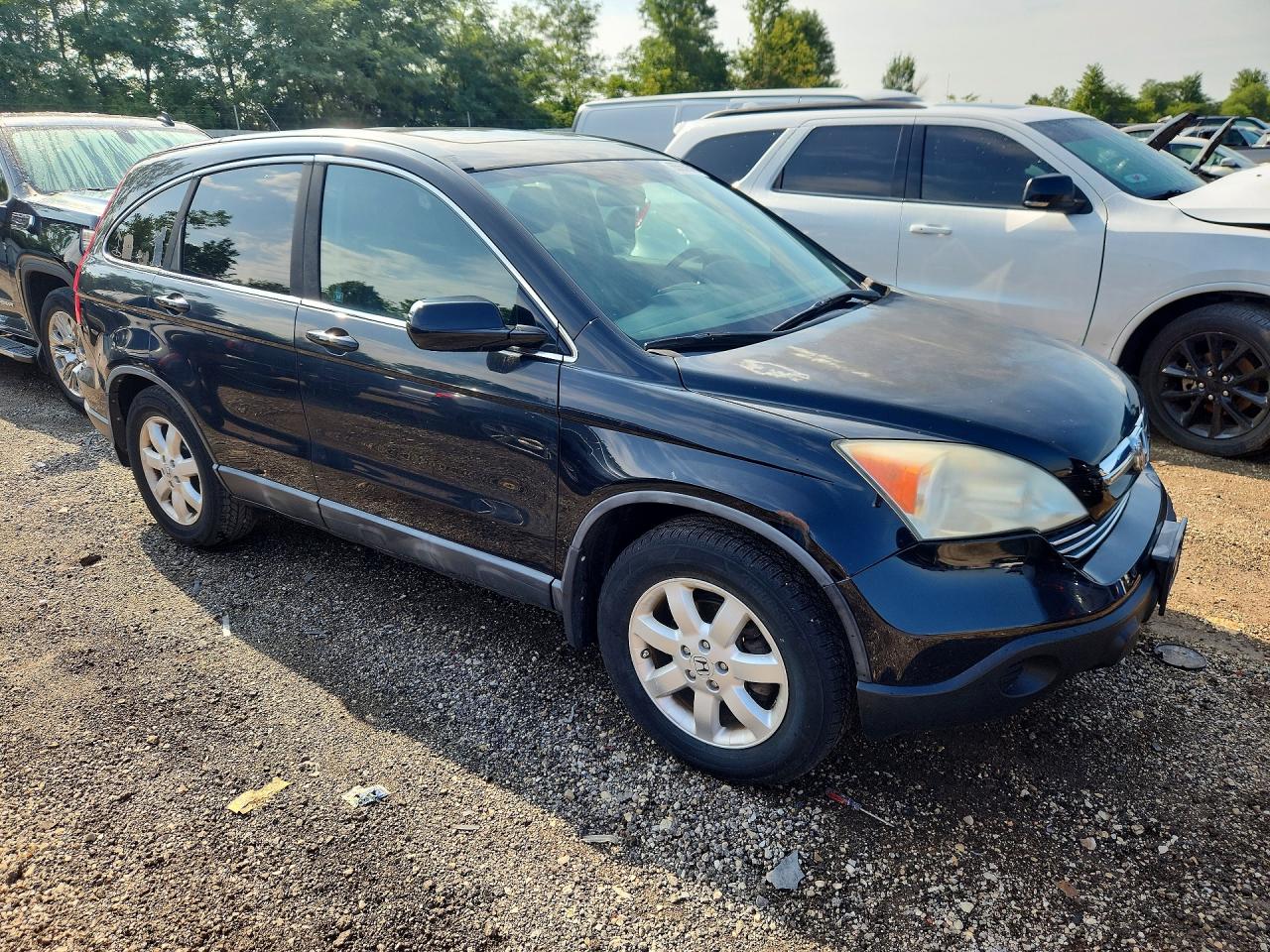 2008 Honda Cr-v Exl Black vin: 5J6RE48718L007772