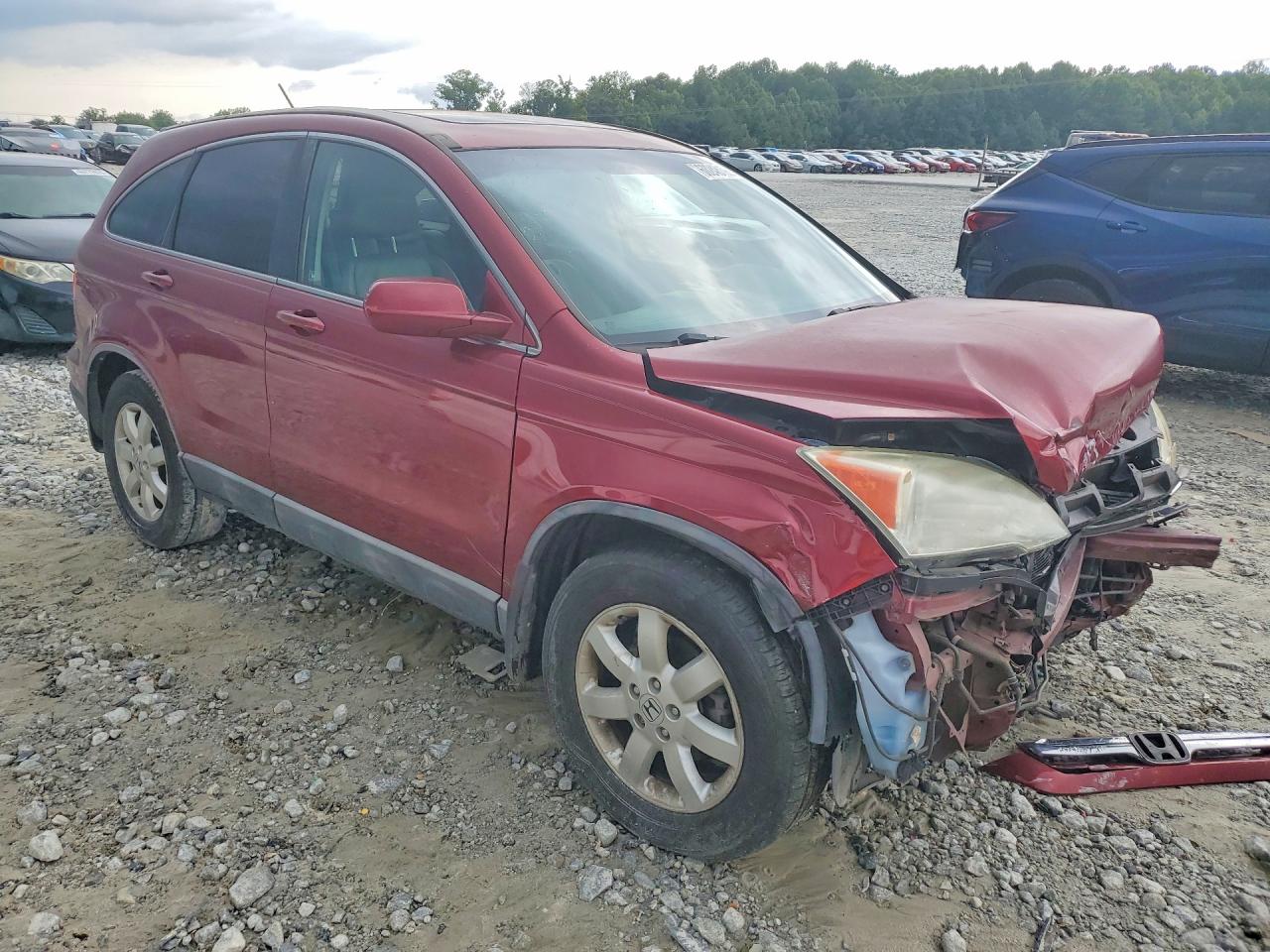 2009 Honda Cr-v Exl Бордовый vin: 5J6RE48719L012097