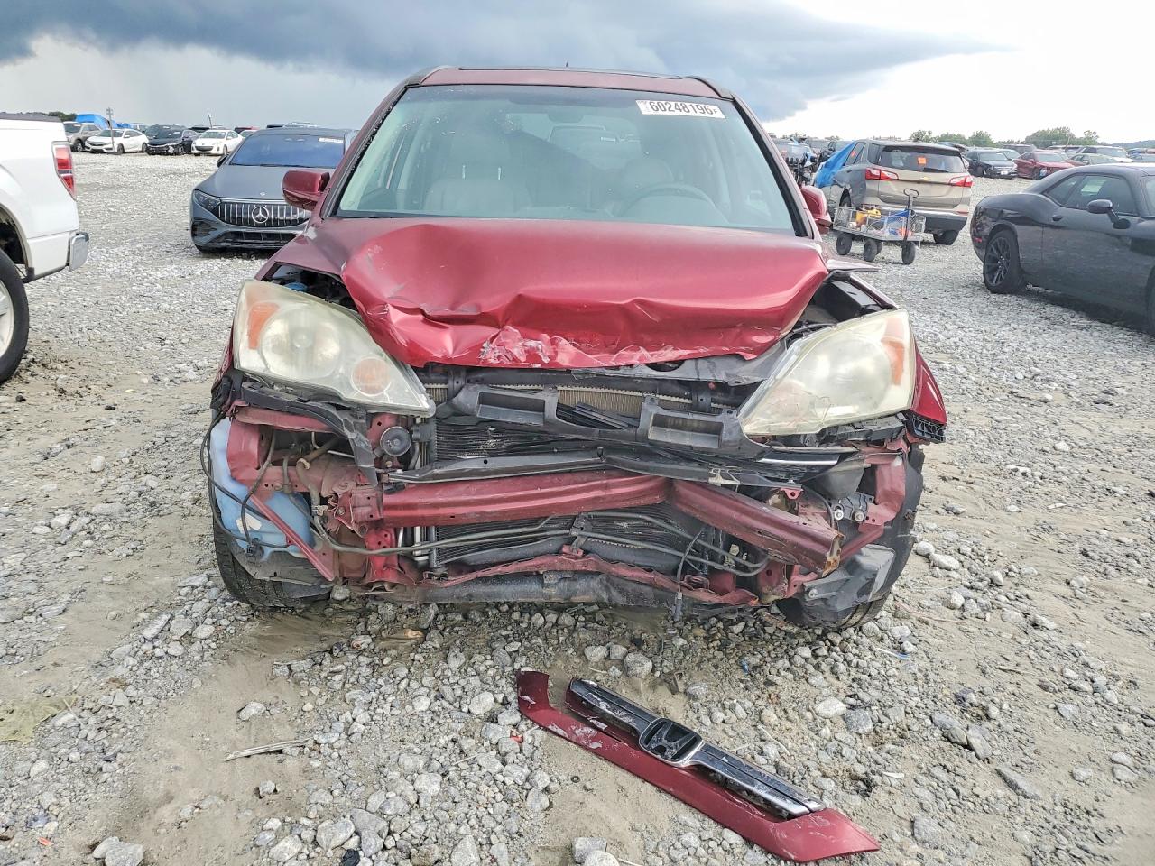 2009 Honda Cr-v Exl Бордовый vin: 5J6RE48719L012097