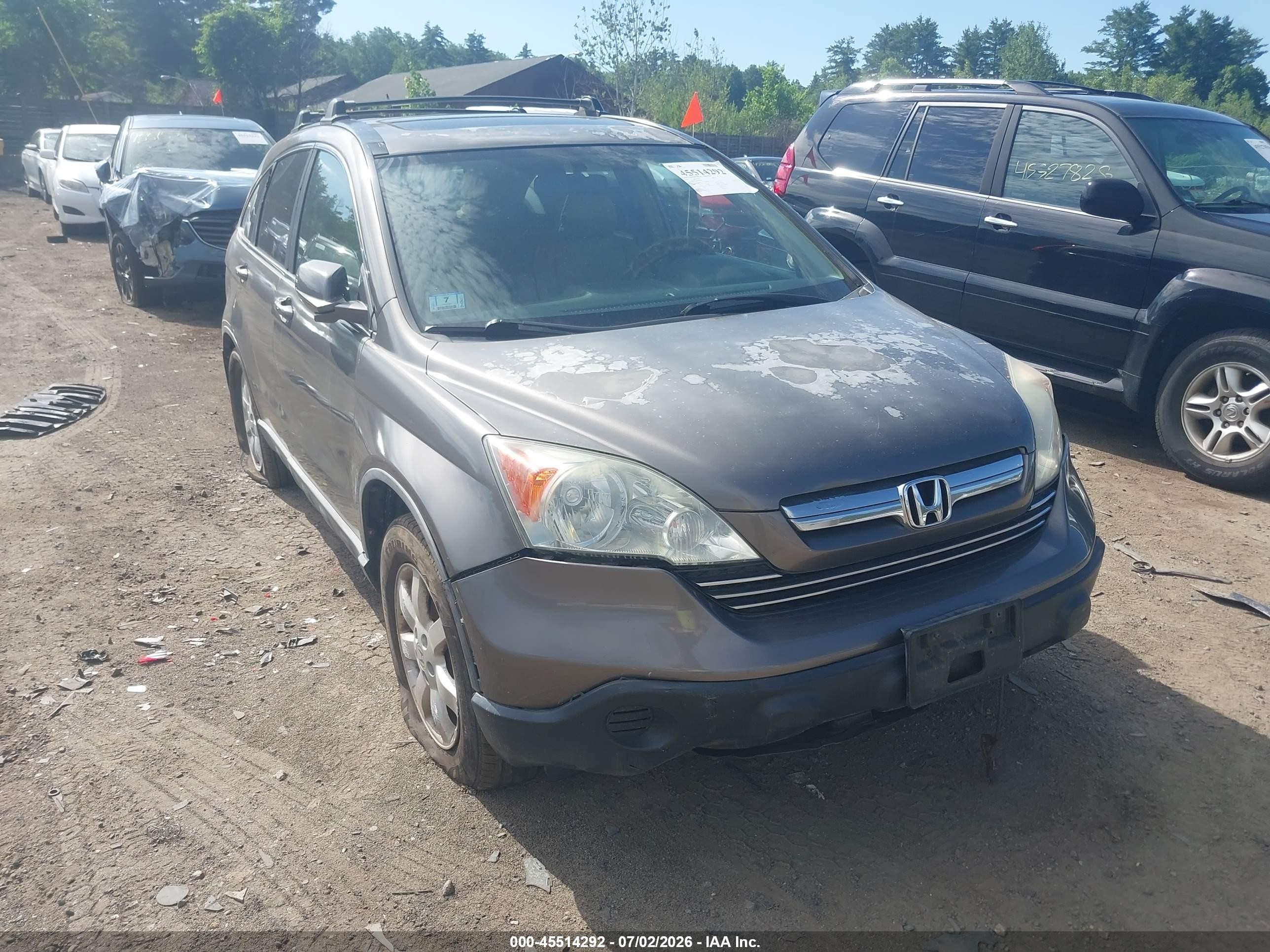 2009 Honda Cr-v Ex-l Gray vin: 5J6RE48729L038434