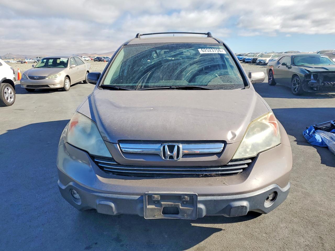 2009 Honda Cr-v Exl Brown vin: 5J6RE48739L014174