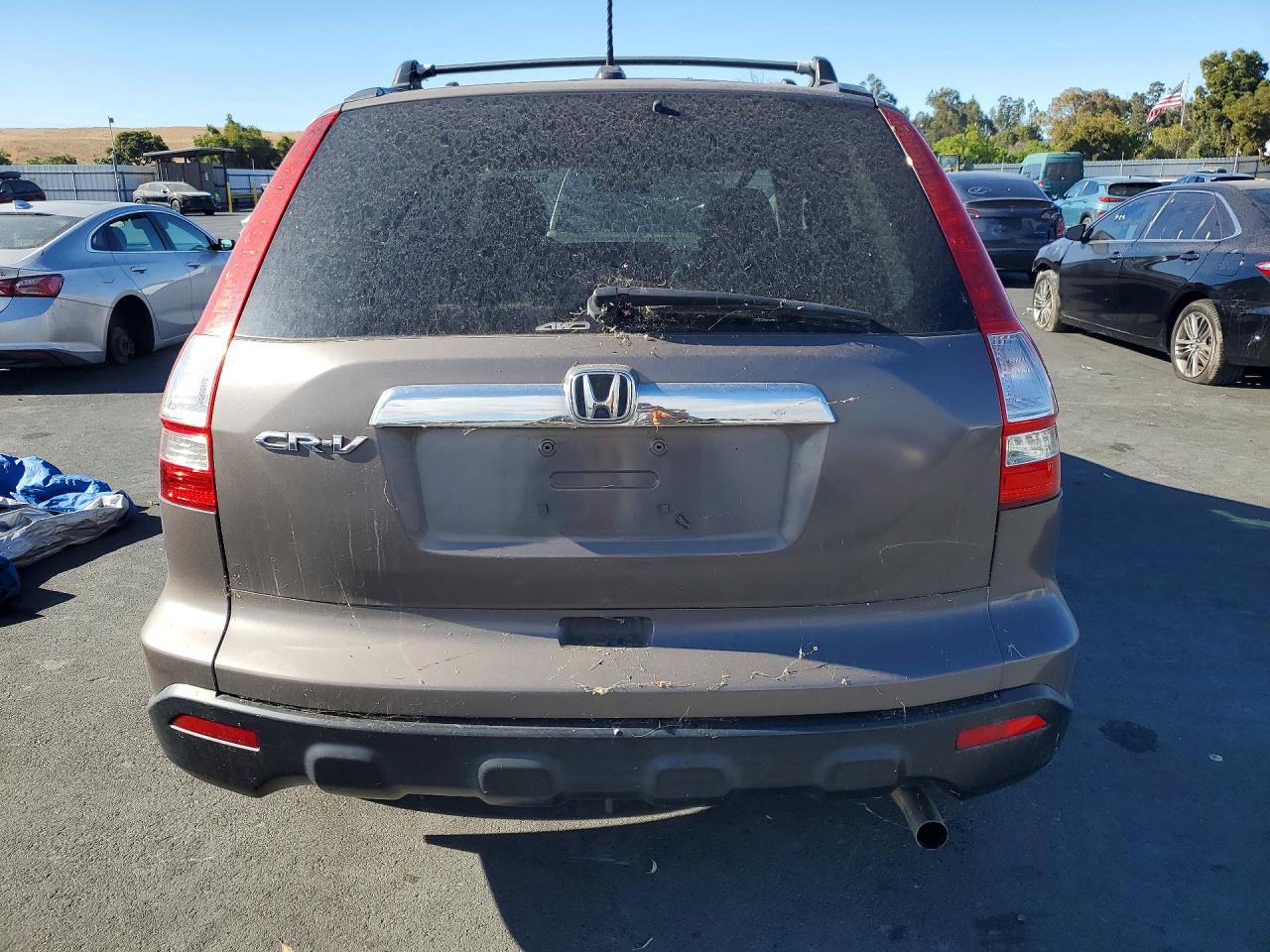 2009 Honda Cr-v Exl Brown vin: 5J6RE48739L014174