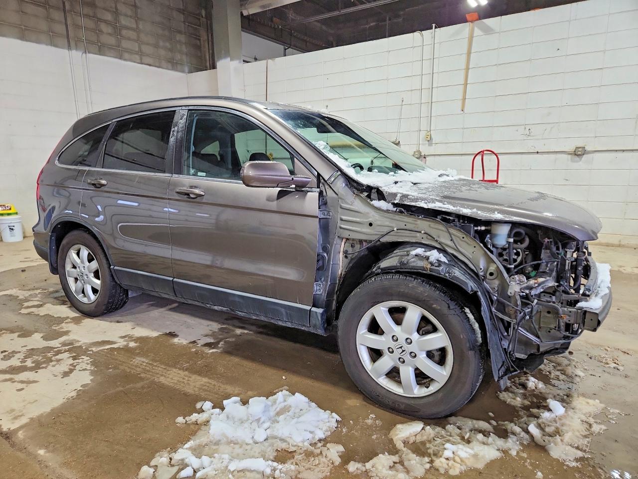 2009 Honda Cr-v Exl Gold vin: 5J6RE48739L057879