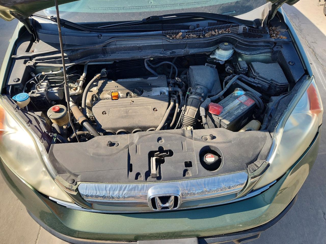 2008 Honda Cr-v Exl Green vin: 5J6RE48768L048723