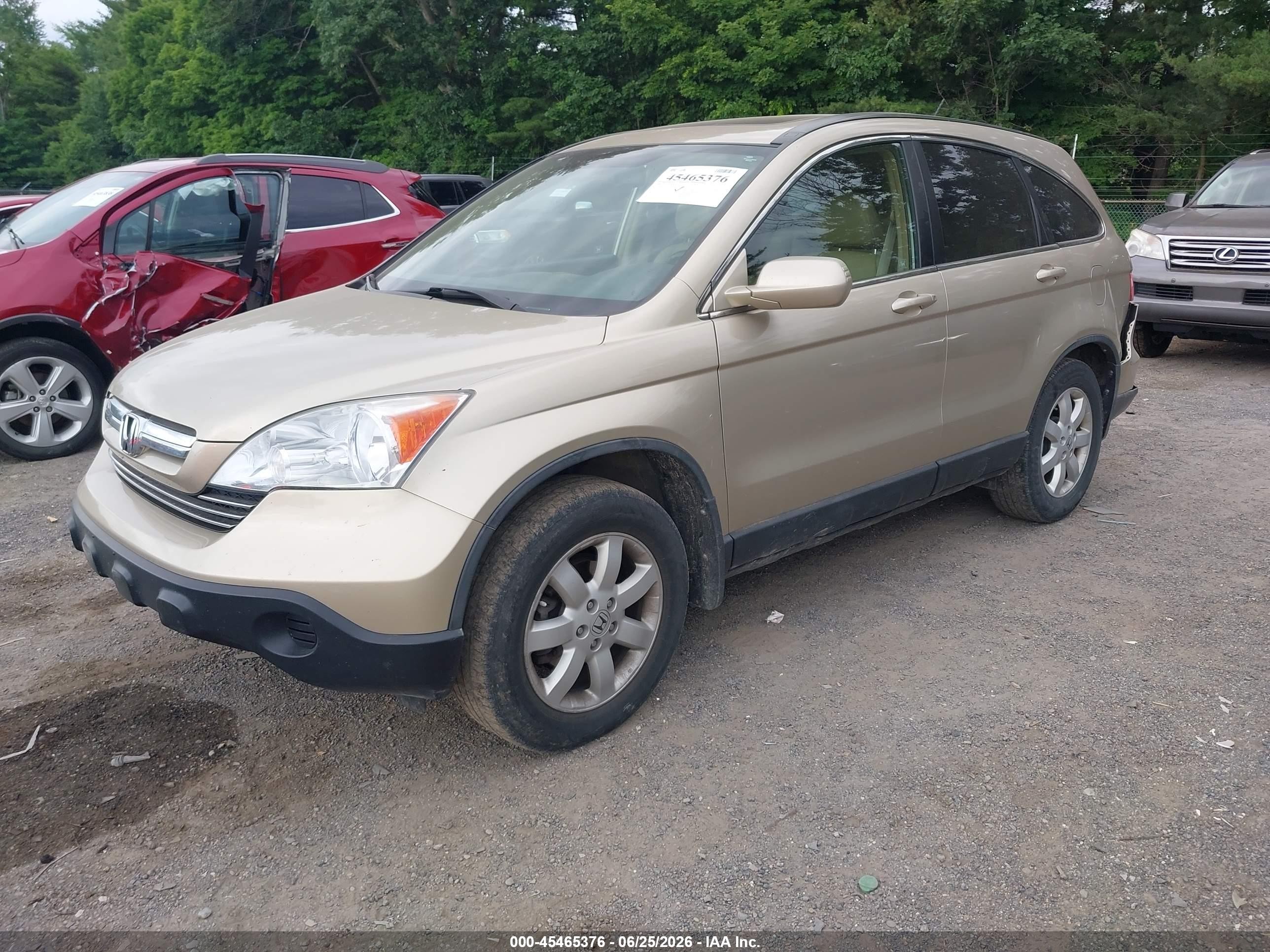 2009 Honda Cr-v Ex-l Champagne vin: 5J6RE48769L036878