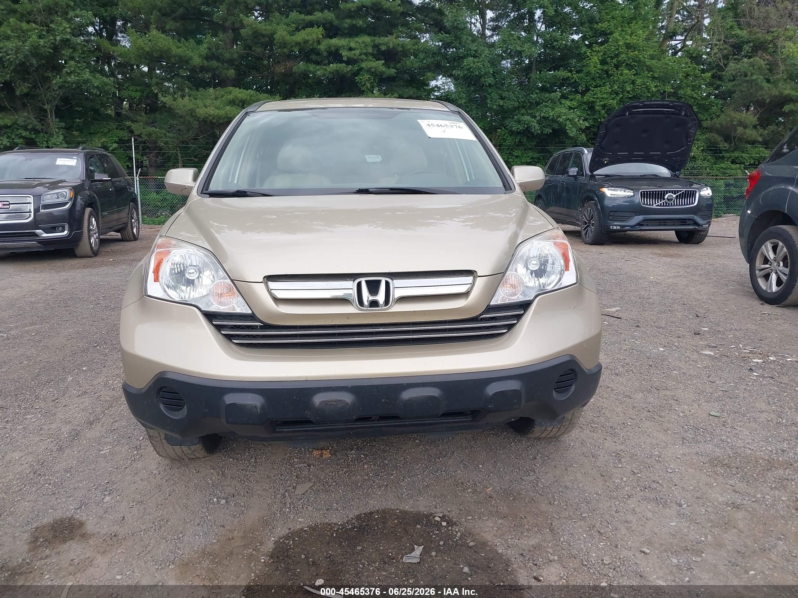 2009 Honda Cr-v Ex-l Champagne vin: 5J6RE48769L036878