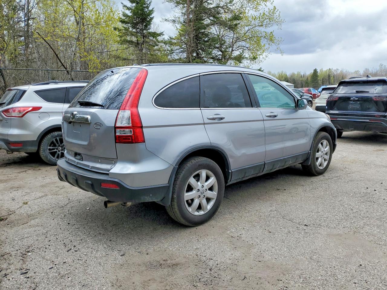 2008 Honda Cr-v Exl Silver vin: 5J6RE48778L814829